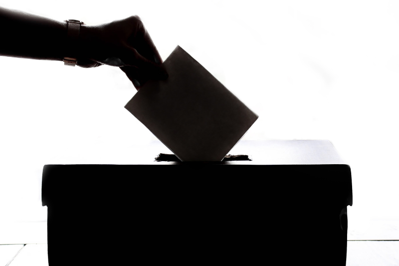 Votare è un diritto che costa